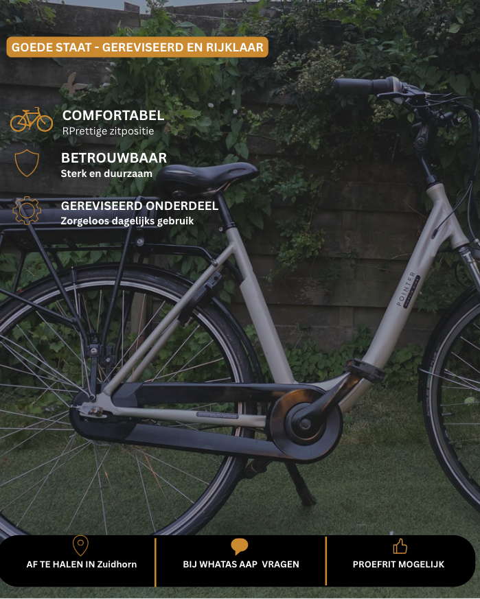 Elektrische fiets poster
